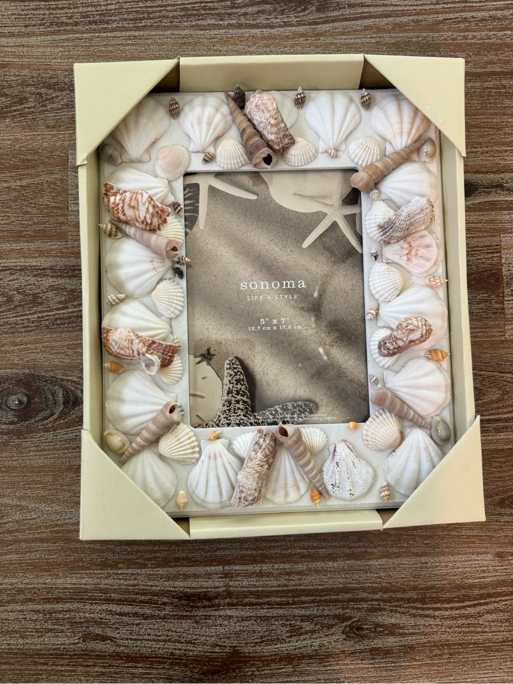 Decorative shell photo frame. 5 x 7. New.